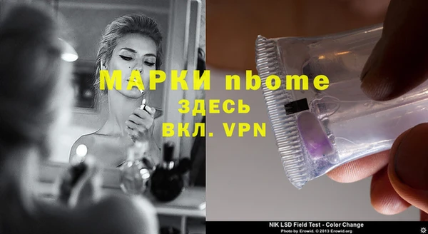 стаф Абаза