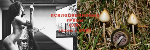 mix Абинск