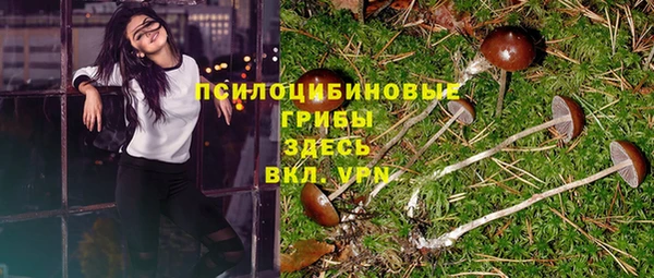 стаф Абаза