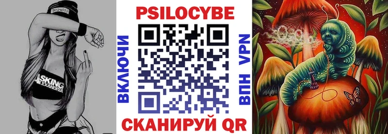 закладка  Жердевка  мега рабочий сайт  Галлюциногенные грибы MAGIC MUSHROOMS 